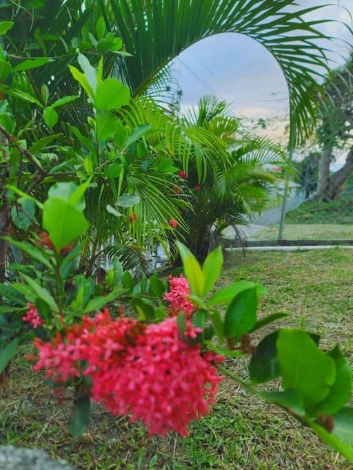 Juju'S Cottage With Magnificent Views Laborie Bagian luar foto