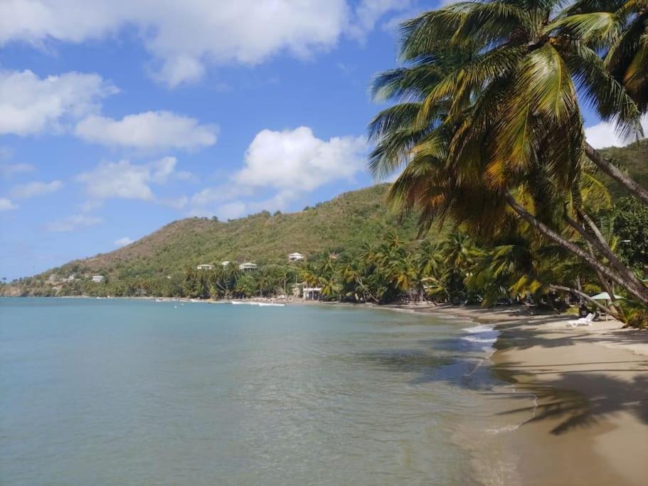 Juju'S Cottage With Magnificent Views Laborie Bagian luar foto