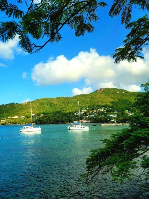 Juju'S Cottage With Magnificent Views Laborie Bagian luar foto