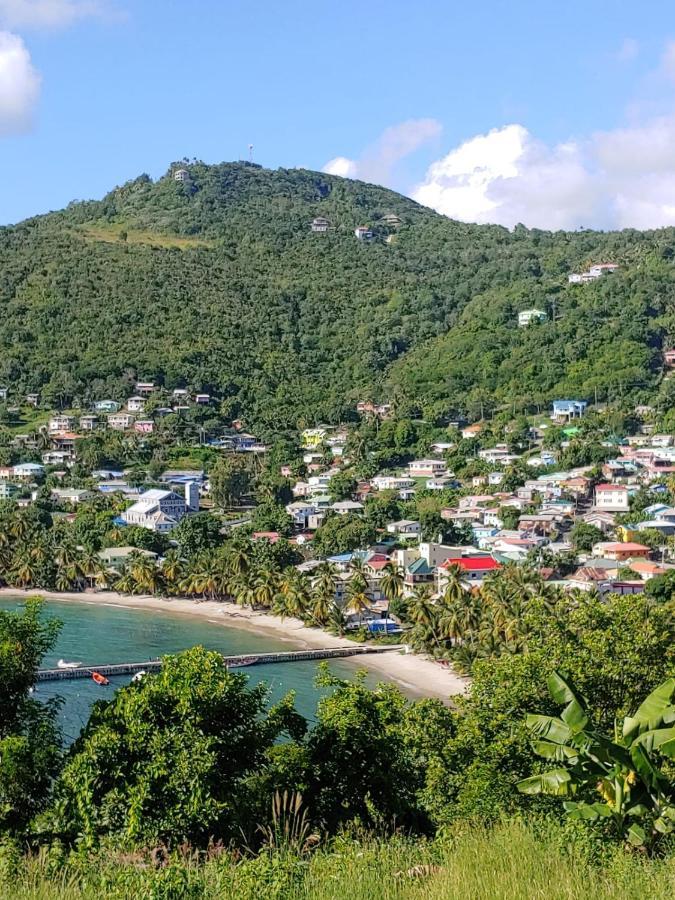 Juju'S Cottage With Magnificent Views Laborie Bagian luar foto